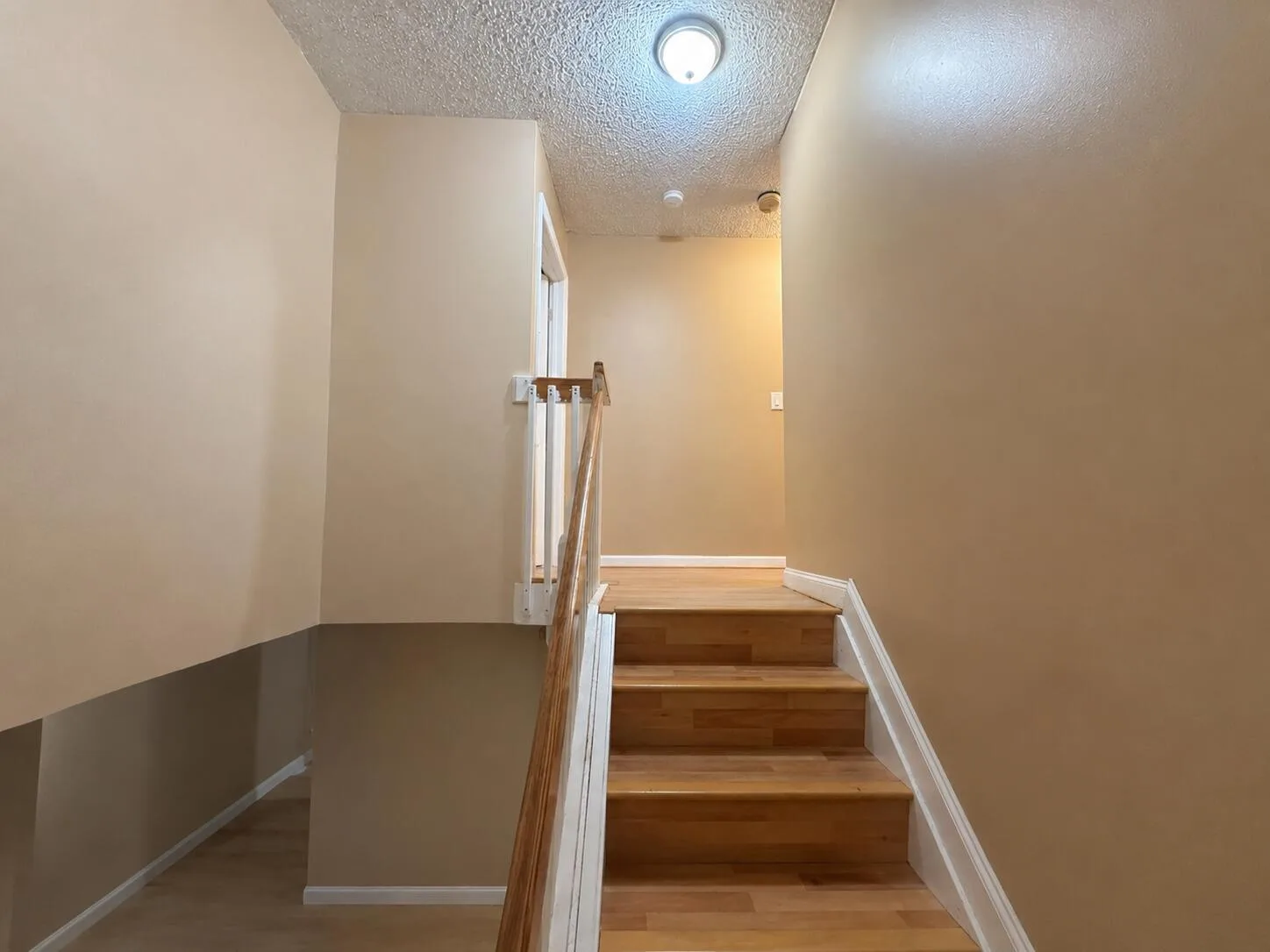 11862 SW 98th Terrace, Miami, FL 33186 photo 5