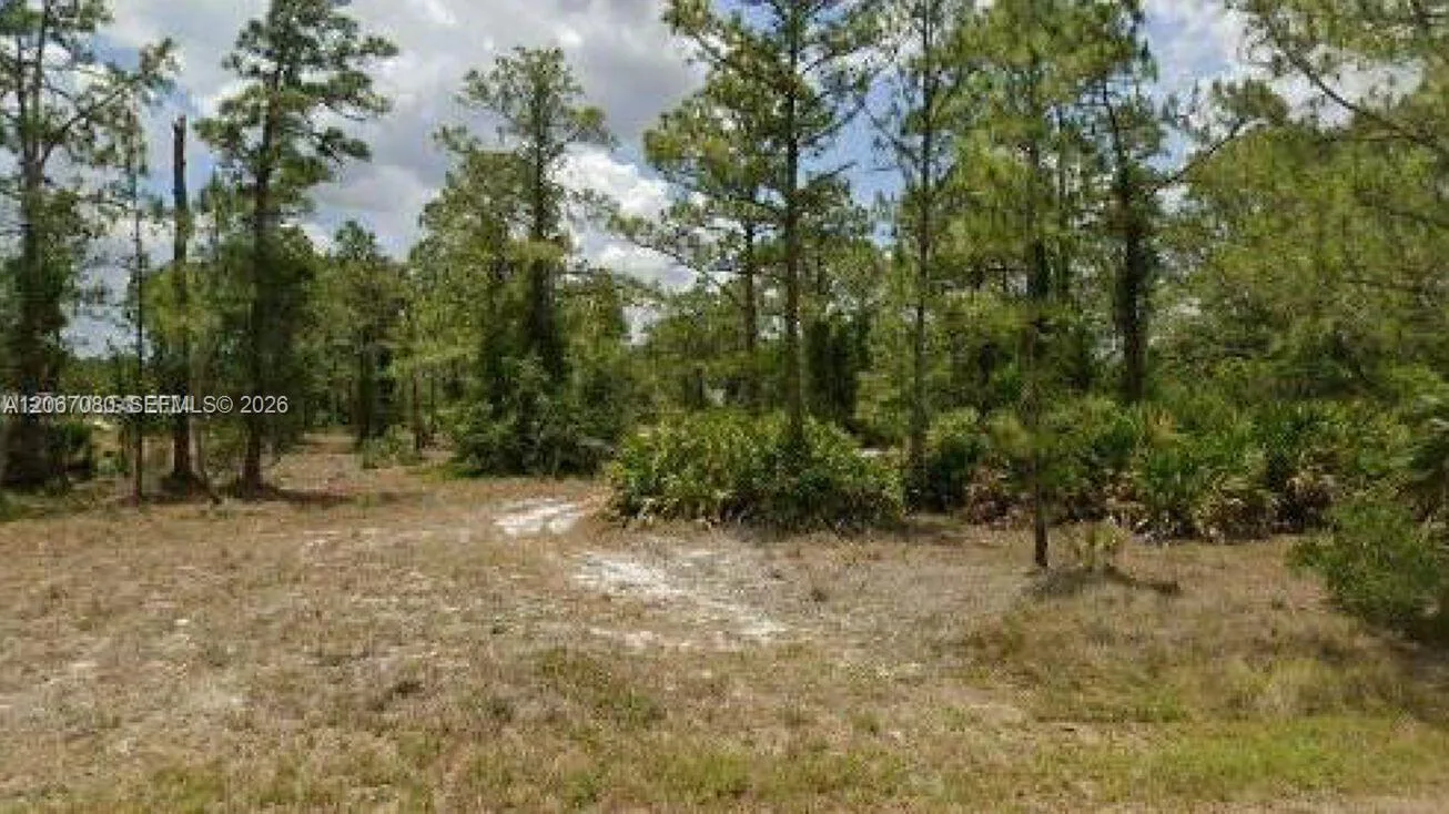 2321 Macarthur Ave, Lehigh Acres, FL 33920