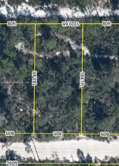 2210 PETUNIA AVE, Sebring, FL 33875 photo 2