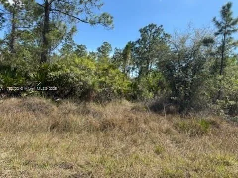 1306 IRVING   AVE, Lehigh Acres, FL 33972 photo 2