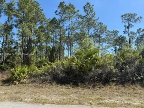1306 IRVING   AVE, Lehigh Acres, FL 33972 photo 3