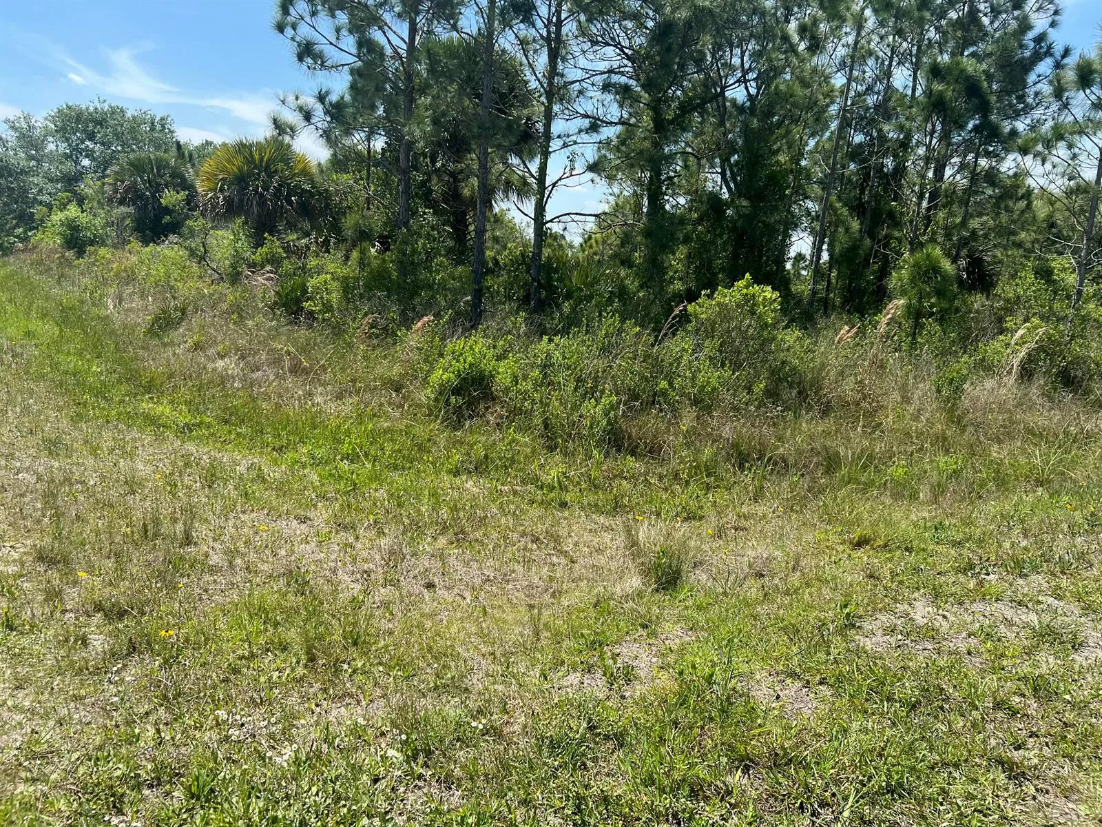 17616 NW 300th Street, Okeechobee, FL 34972