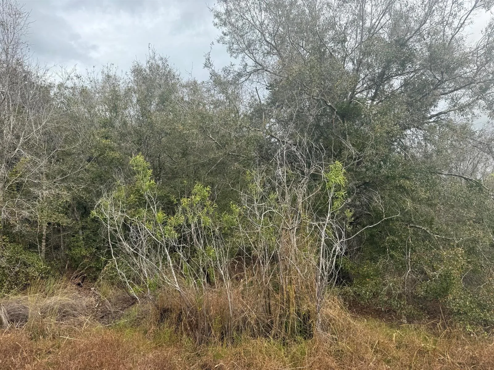 17667 NW 254th Street, Okeechobee, FL 34972