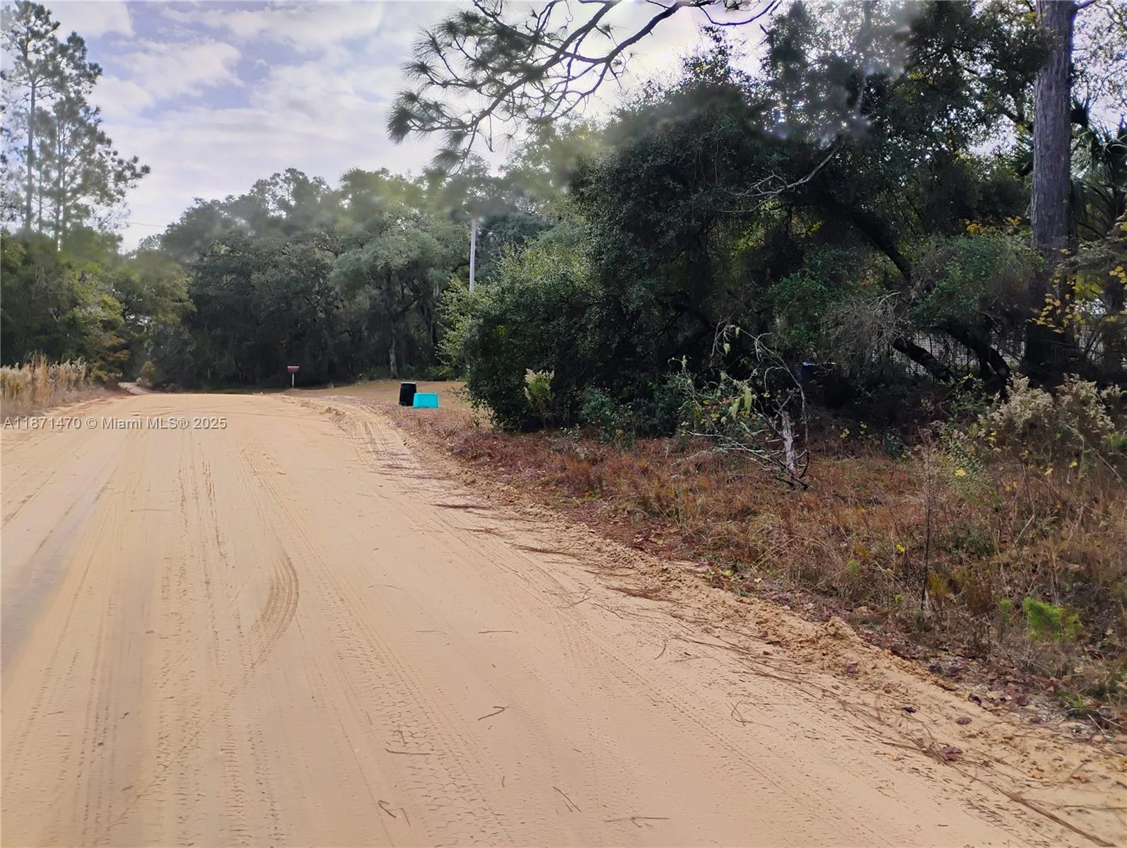 103 Antler, Palatka, FL 32148