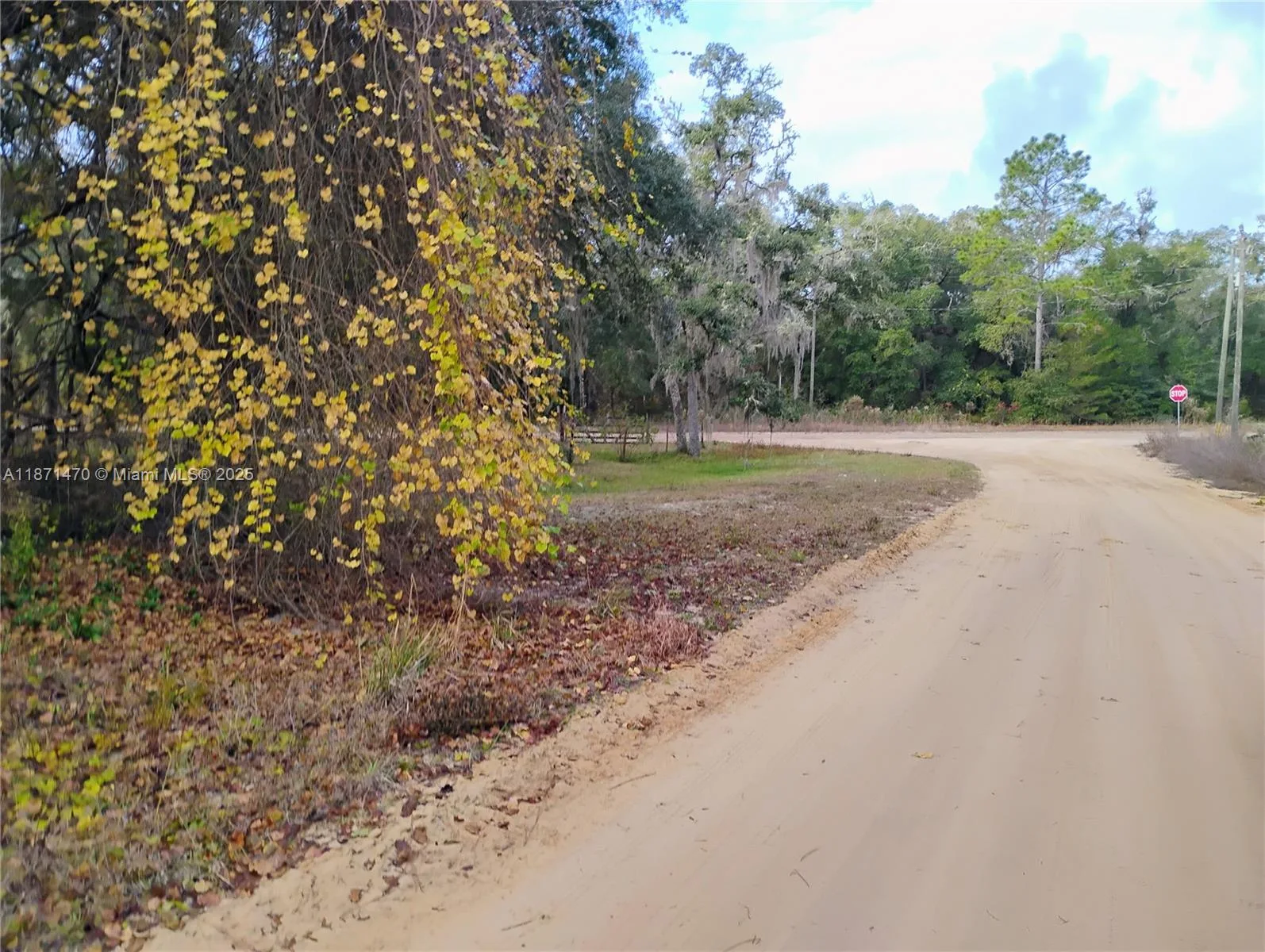 103 Antler, Palatka, FL 32148 photo 2