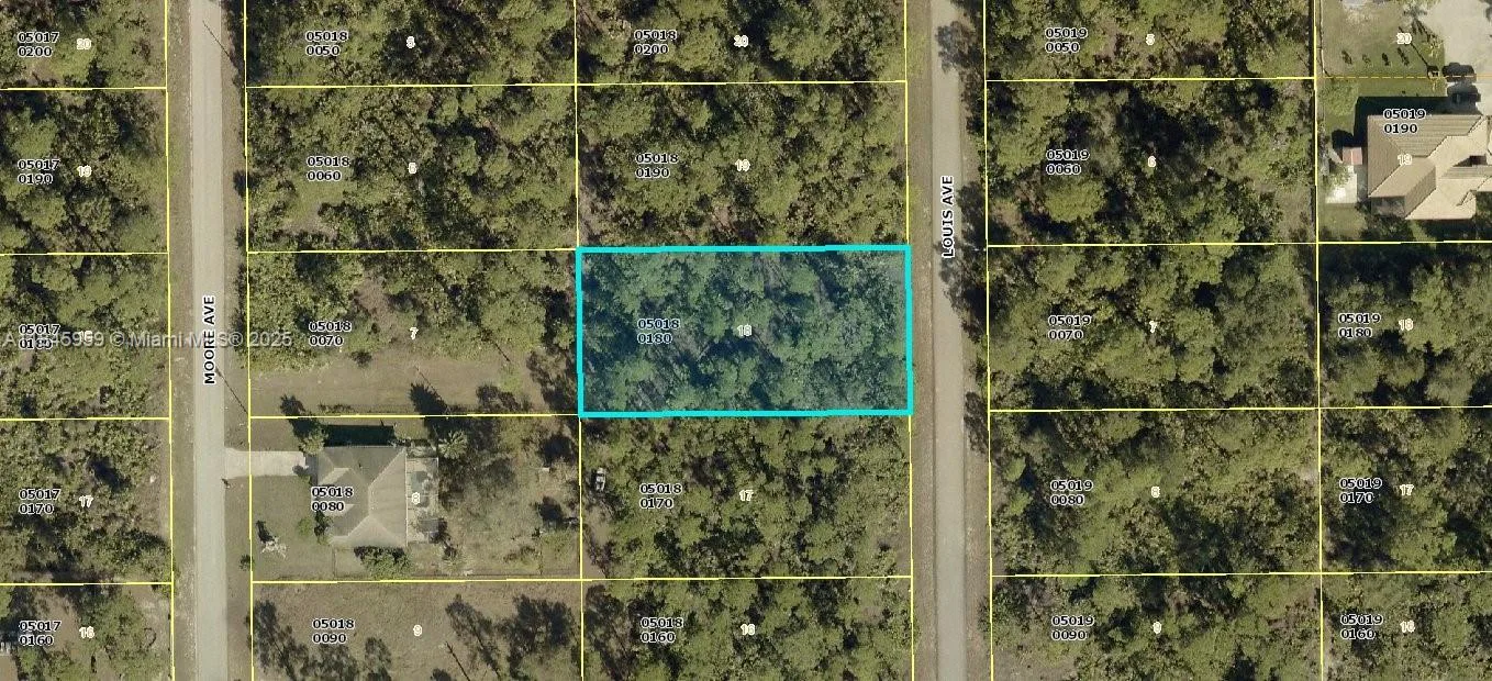 1311 louis, Lehigh Acres, FL 33972