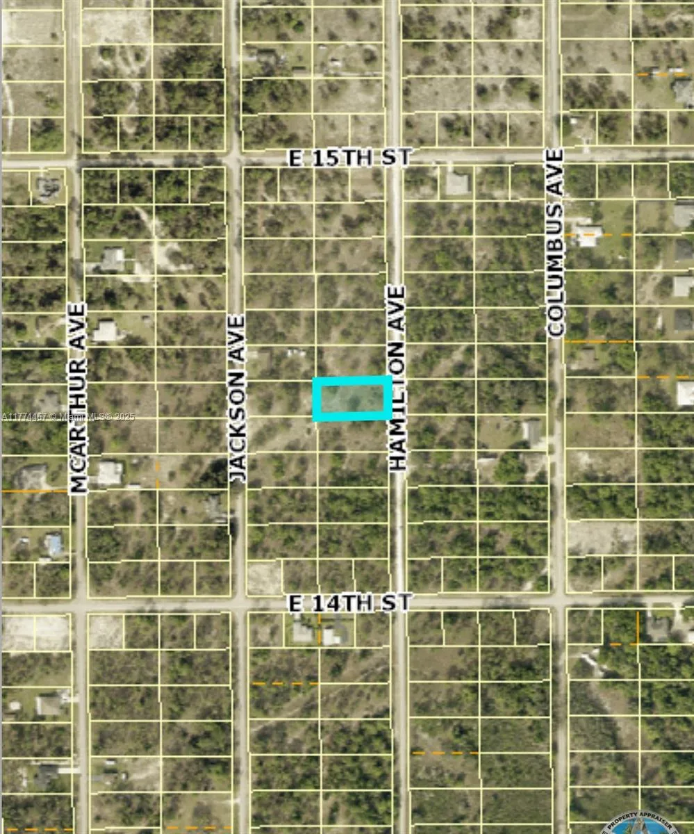 1411 Hamilton, Lehigh Acres, FL 33972 photo 2