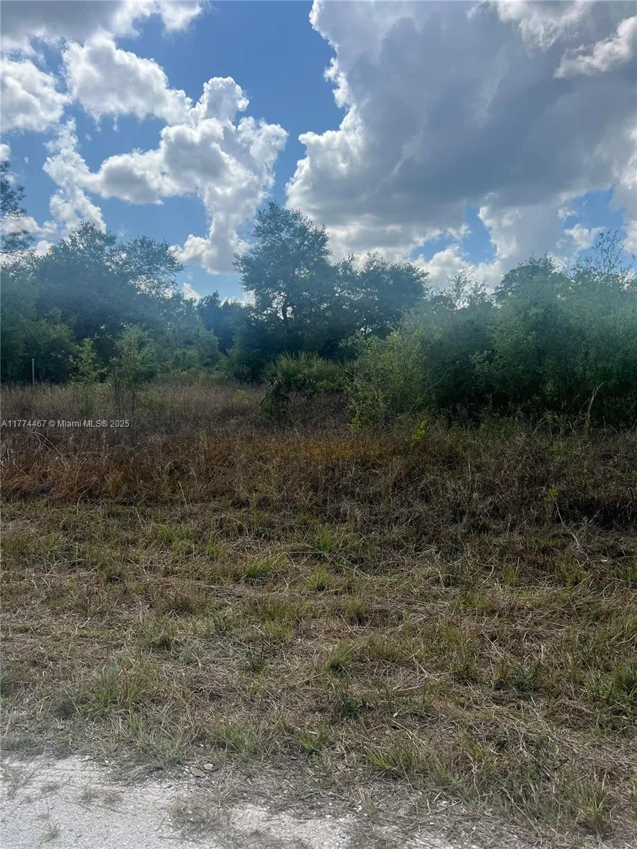 1411 Hamilton, Lehigh Acres, FL 33972 photo 3