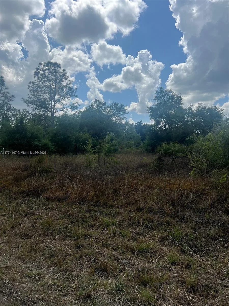 1411 Hamilton, Lehigh Acres, FL 33972 photo 5