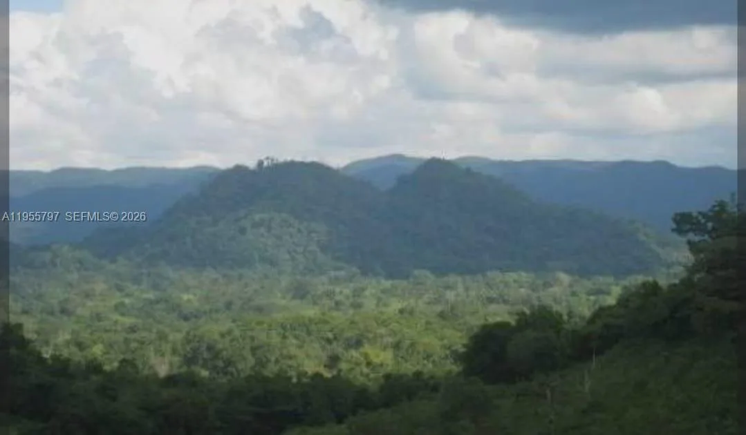 00 Ethel Town, Westmoreland, Jamaica photo 2