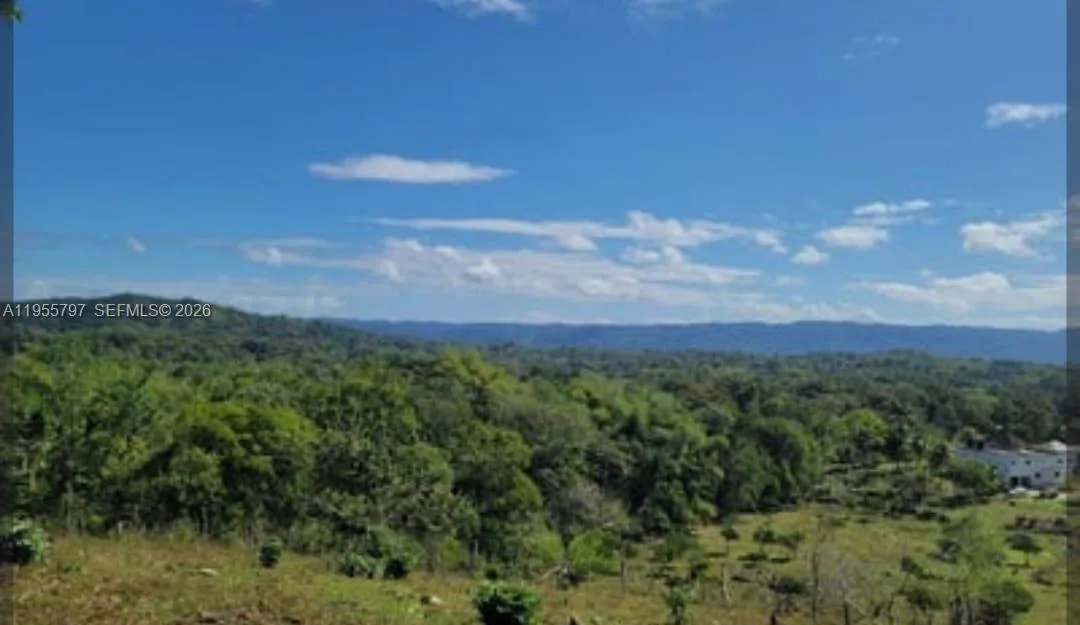 00 Ethel Town, Westmoreland, Jamaica photo 3