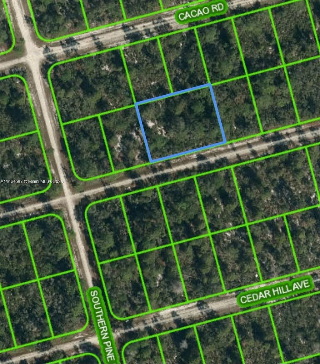 3047 Hollow Oak Ave, Lake Placid, FL 33852 photo 3