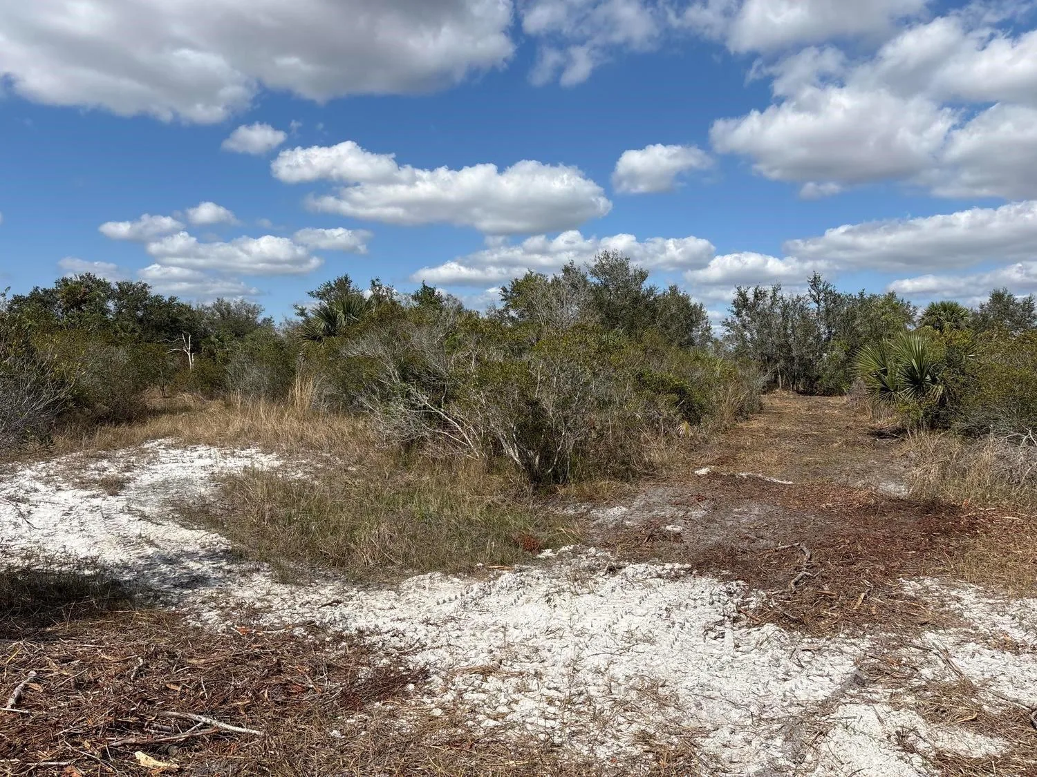 0 NW 298th Street, Okeechobee, FL 34972