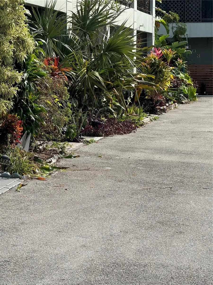 2452 Taylor Street # 204, Hollywood, FL 33020