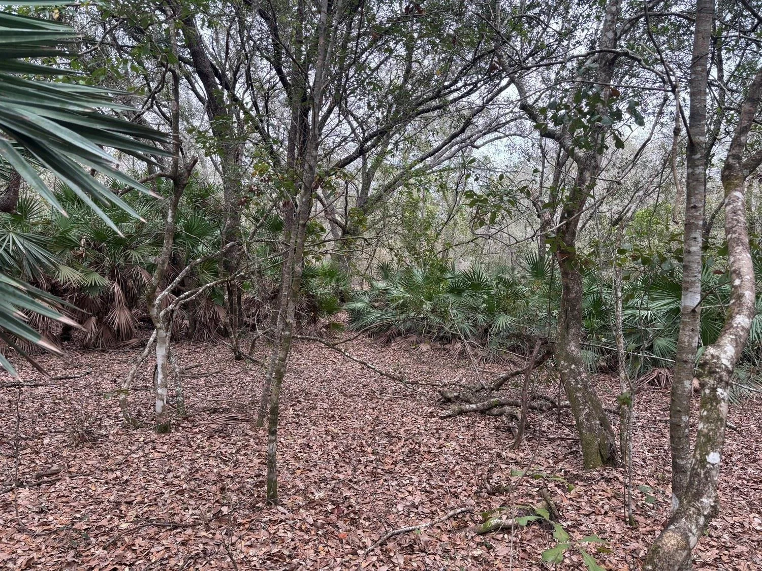 0 Old Grade Road, FL 33868