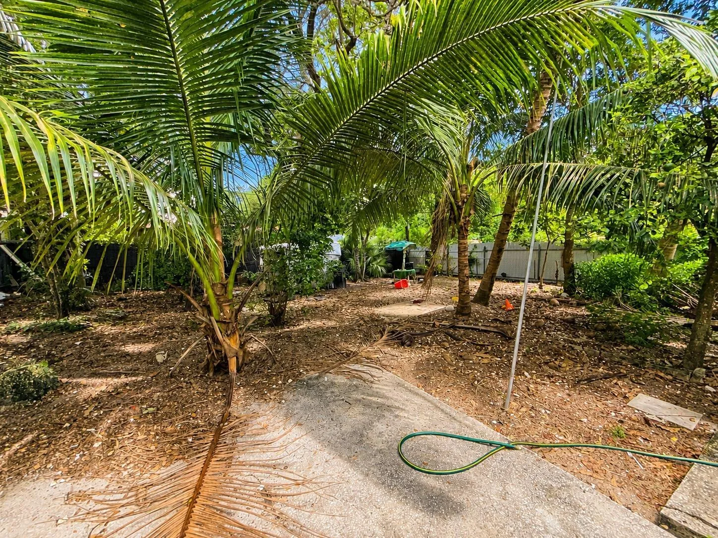 445 NE 163RD Street, Miami, FL 33162 photo 9