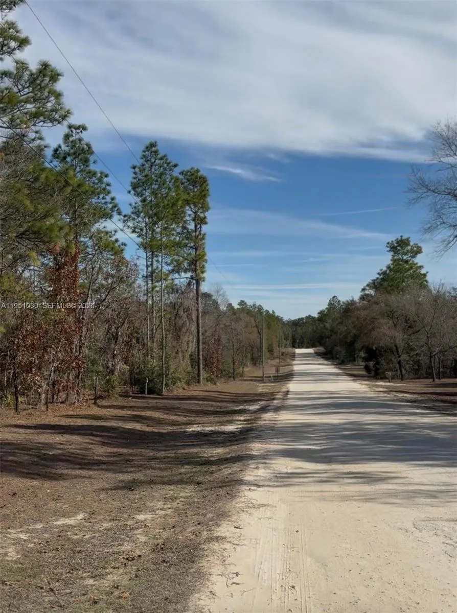 000 NE 121ST ST, Other City - In The State Of Florida, FL 32618 photo 4