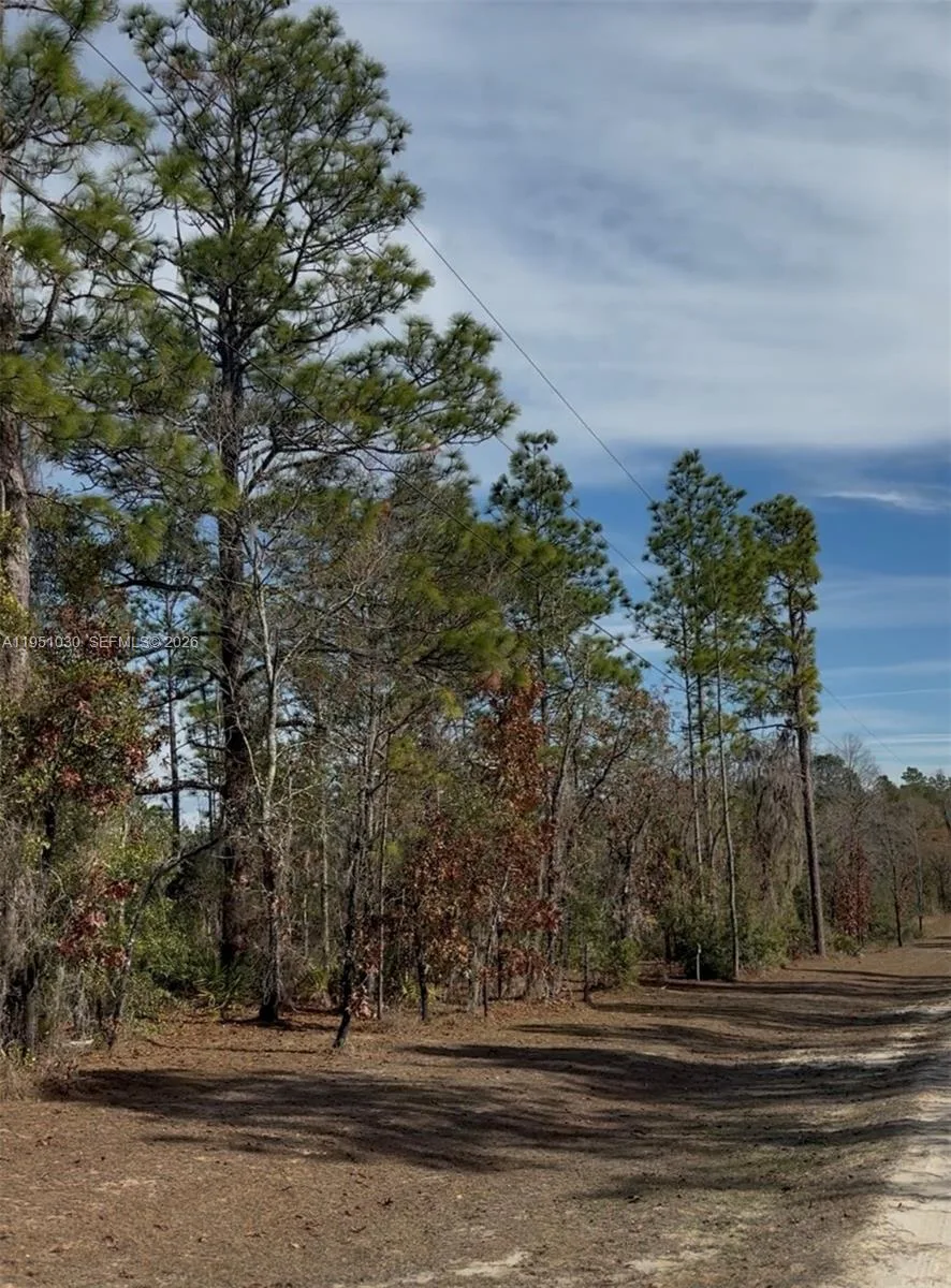 000 NE 121ST ST, Other City - In The State Of Florida, FL 32618 photo 5
