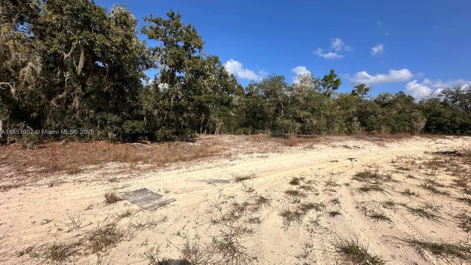0 COLDROCK DR, Other City - In The State Of Florida, FL 33597 photo 3