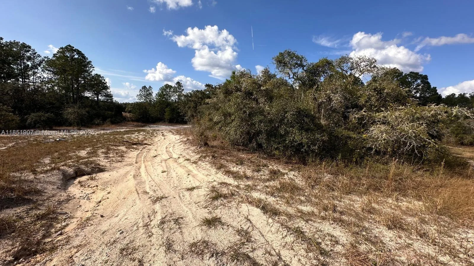 0 COLDROCK DR, Other City - In The State Of Florida, FL 33597 photo 4