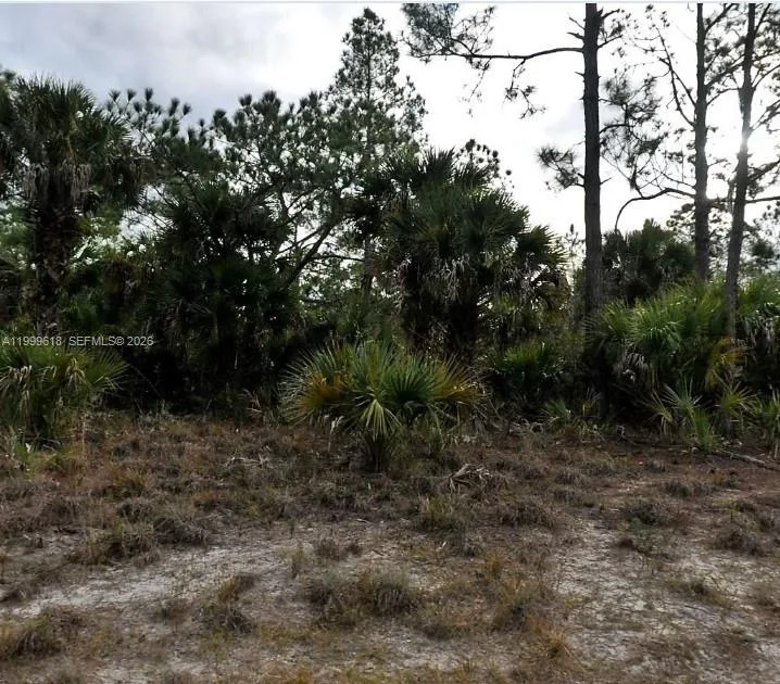INVERNESS ST LOT # 3150, North Port, FL 34288 photo 3