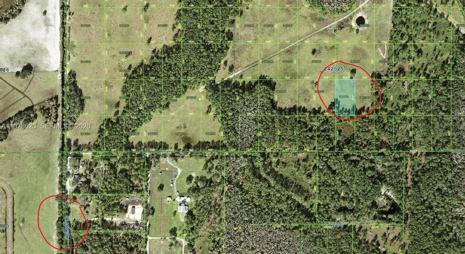 N/A N/A, Other City - In The State Of Florida, FL 33868 photo 2