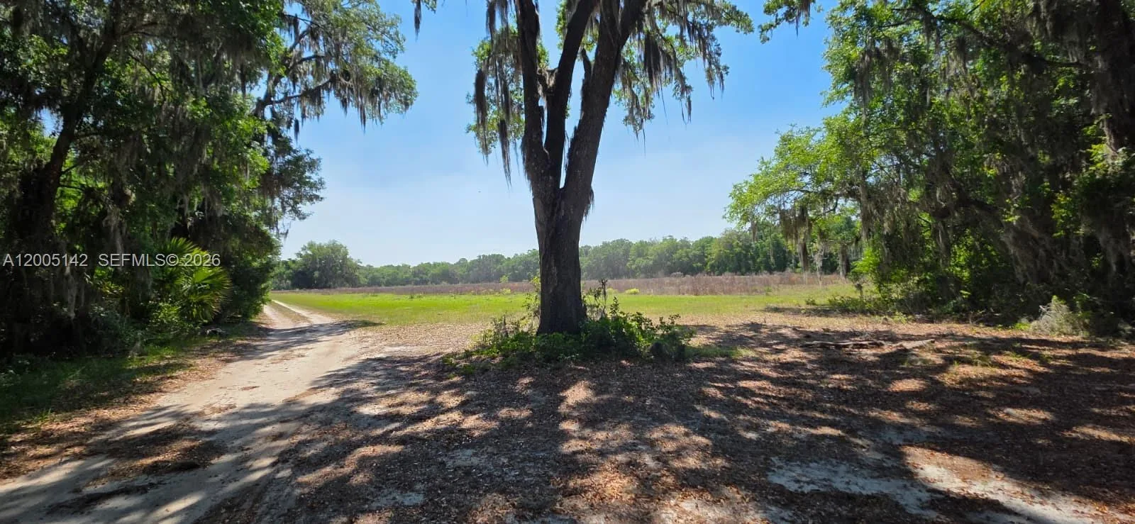 0 SE 225th dr, Other City - In The State Of Florida, FL 32640 photo 2