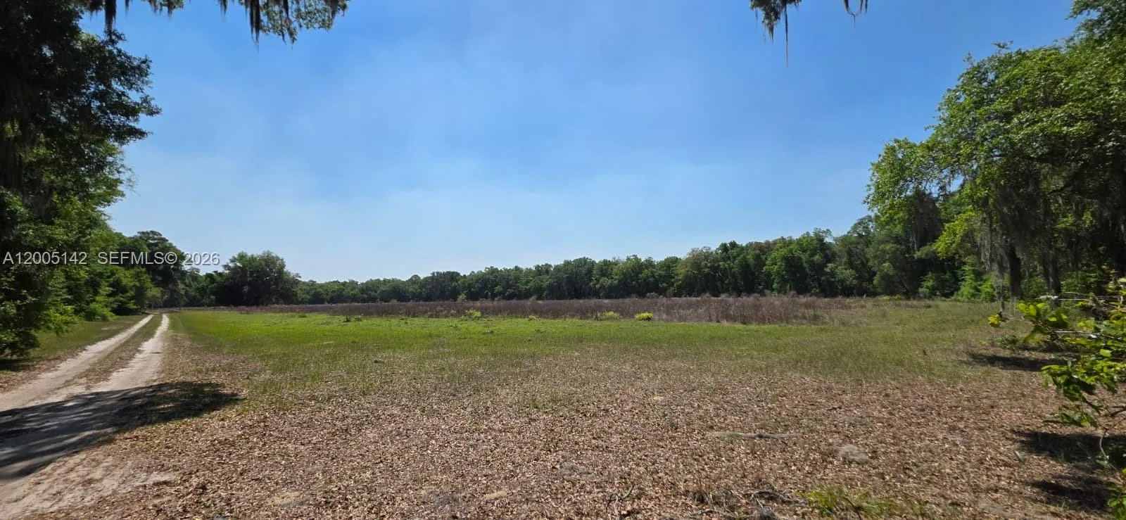 0 SE 225th dr, Other City - In The State Of Florida, FL 32640 photo 3