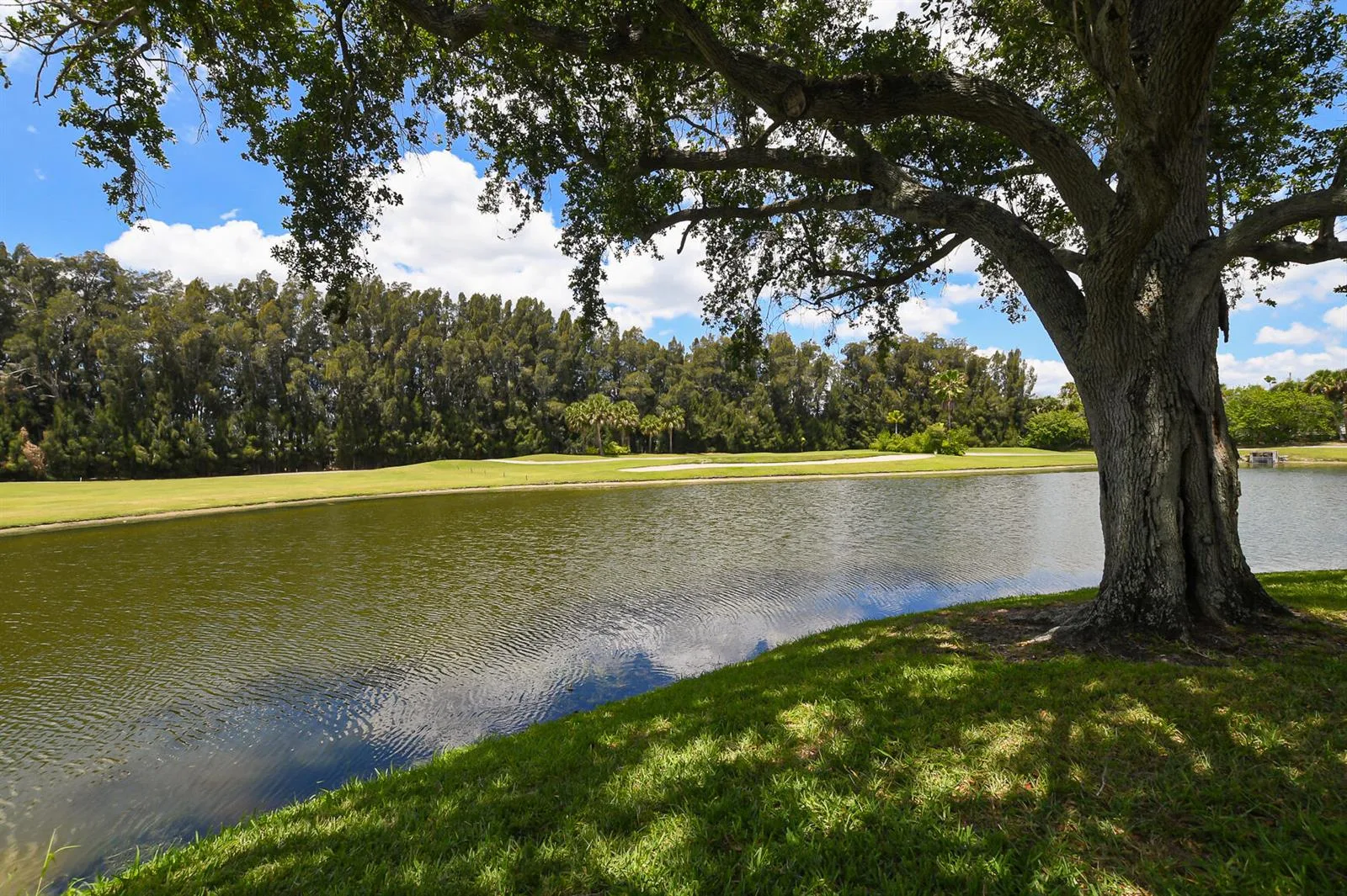 20 Plantation Drive # 101, Vero Beach, FL 32966 photo 5