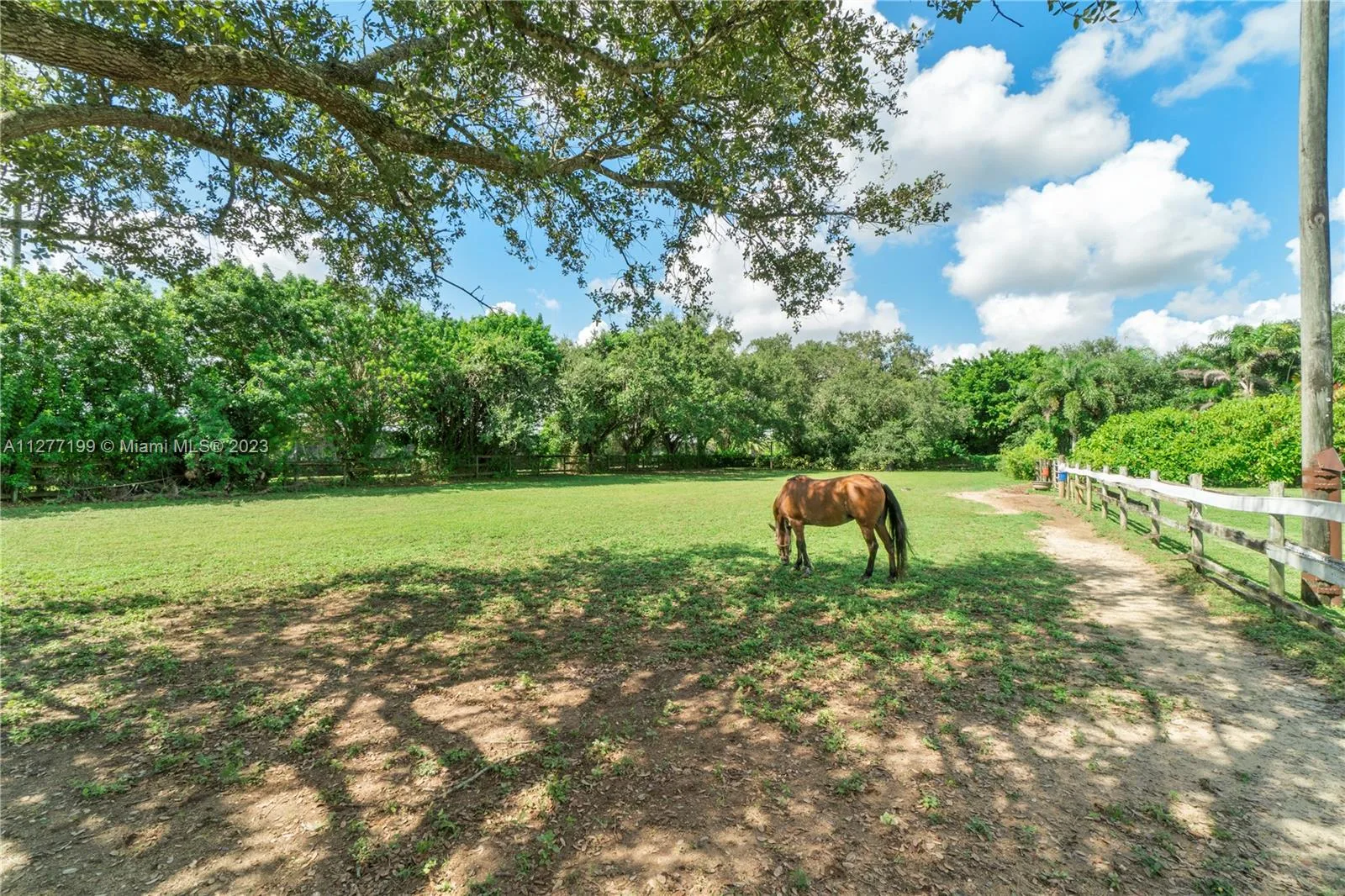 25950 SW 187 AVE, Homestead, FL 33031 photo 9