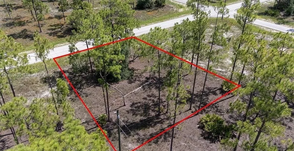 1004 E 14th St, Lehigh Acres, FL 33972 photo 2