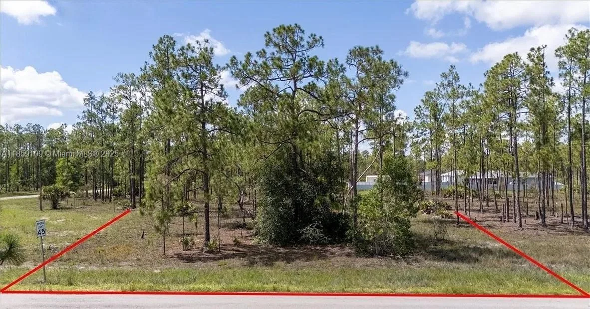 1004 E 14th St, Lehigh Acres, FL 33972 photo 3