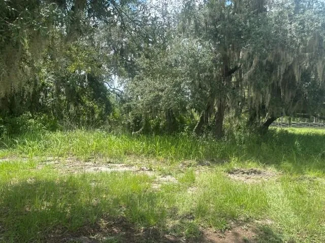 0 Old Stokes Road, Frostproof, FL 33843