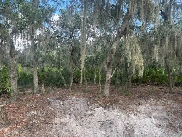 0 Old Stokes Road, Frostproof, FL 33843 photo 3
