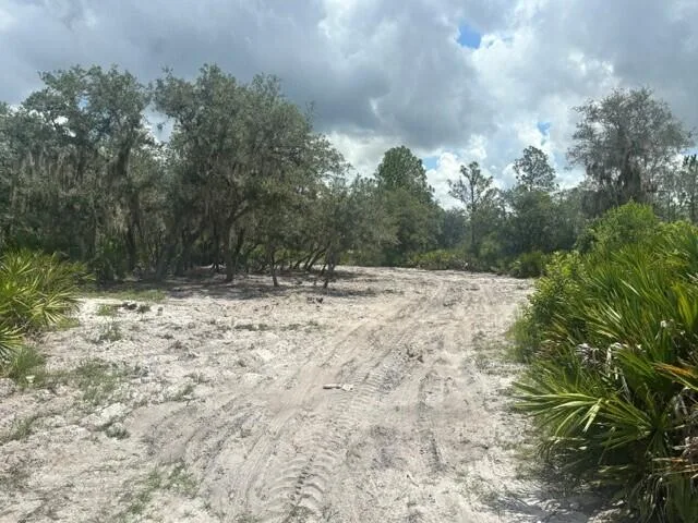 0 Old Stokes Road, Frostproof, FL 33843 photo 4