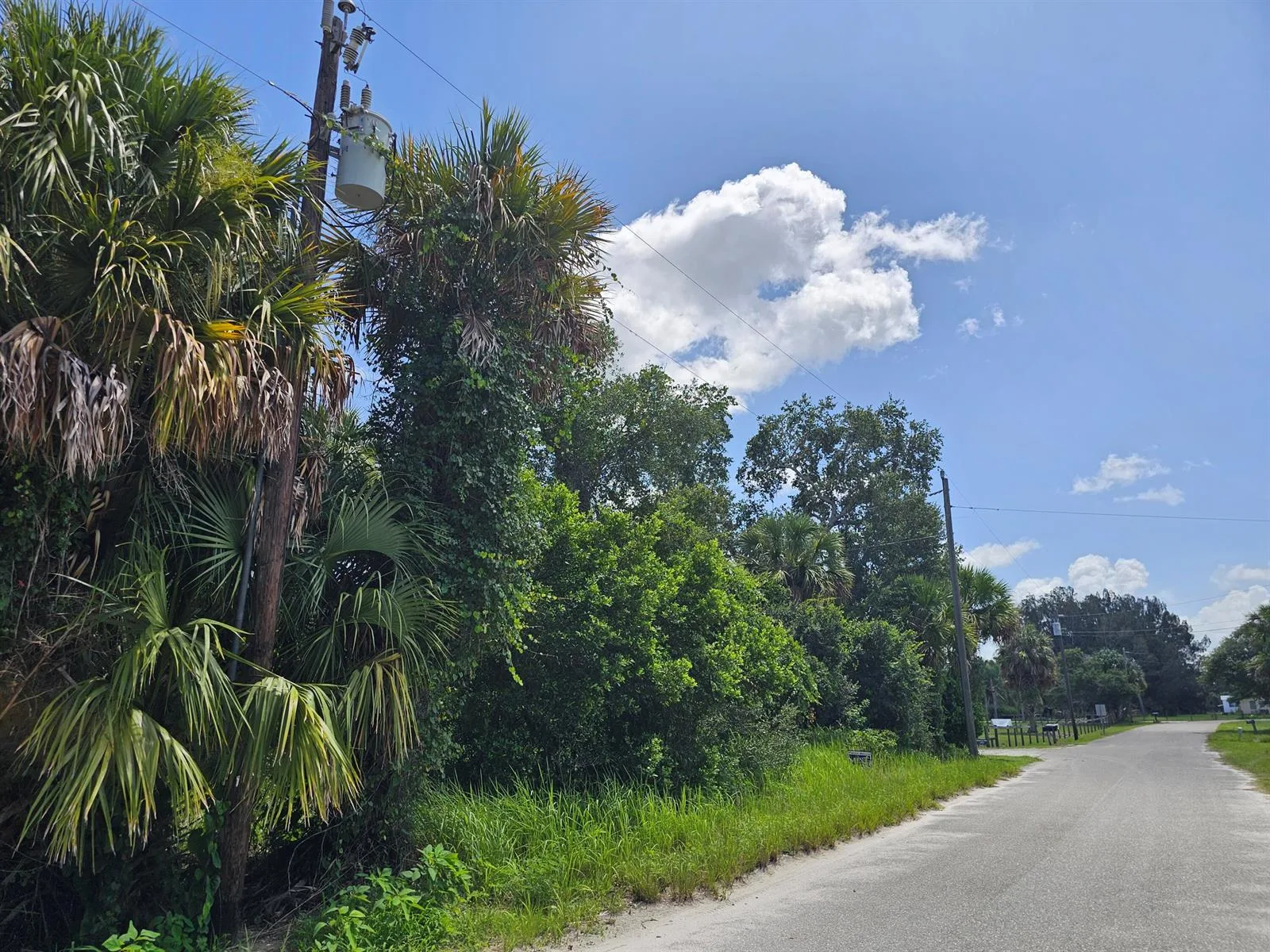 1875 NE 308th Street, Okeechobee, FL 34972 photo 4