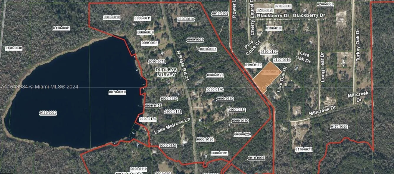 0 To be assigned, Other City - In The State Of Florida, FL 32666 photo 2