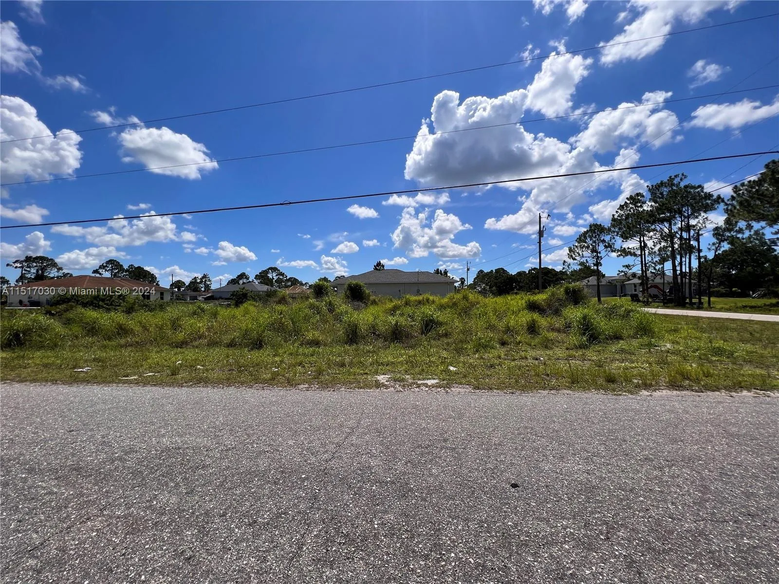2915 19th St SW, Lehigh Acres, FL 33976 photo 5