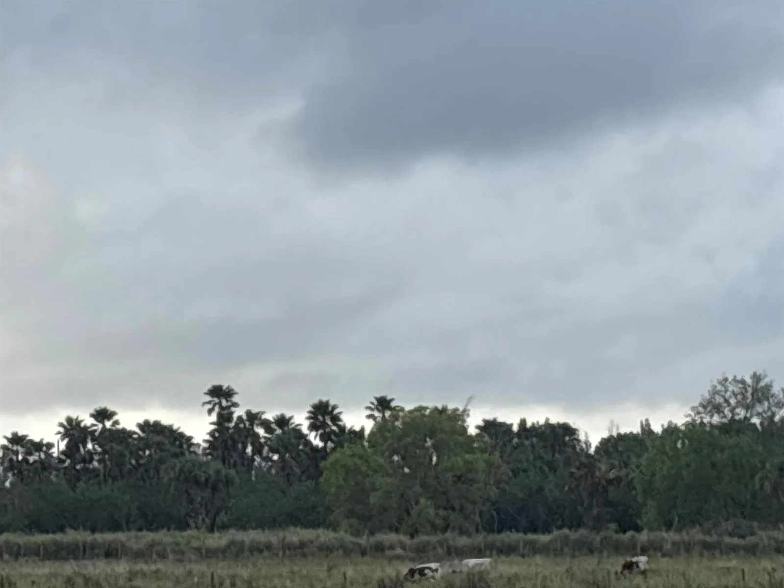 1425 S Header Canal Road, Fort Pierce, FL 34945 photo 9