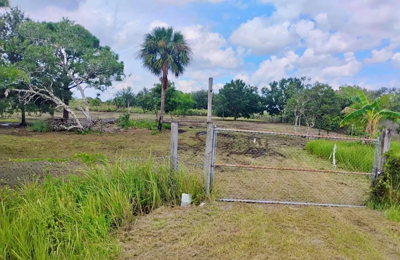 15313 NW 310TH Street N, Okeechobee, FL 34972 photo 2