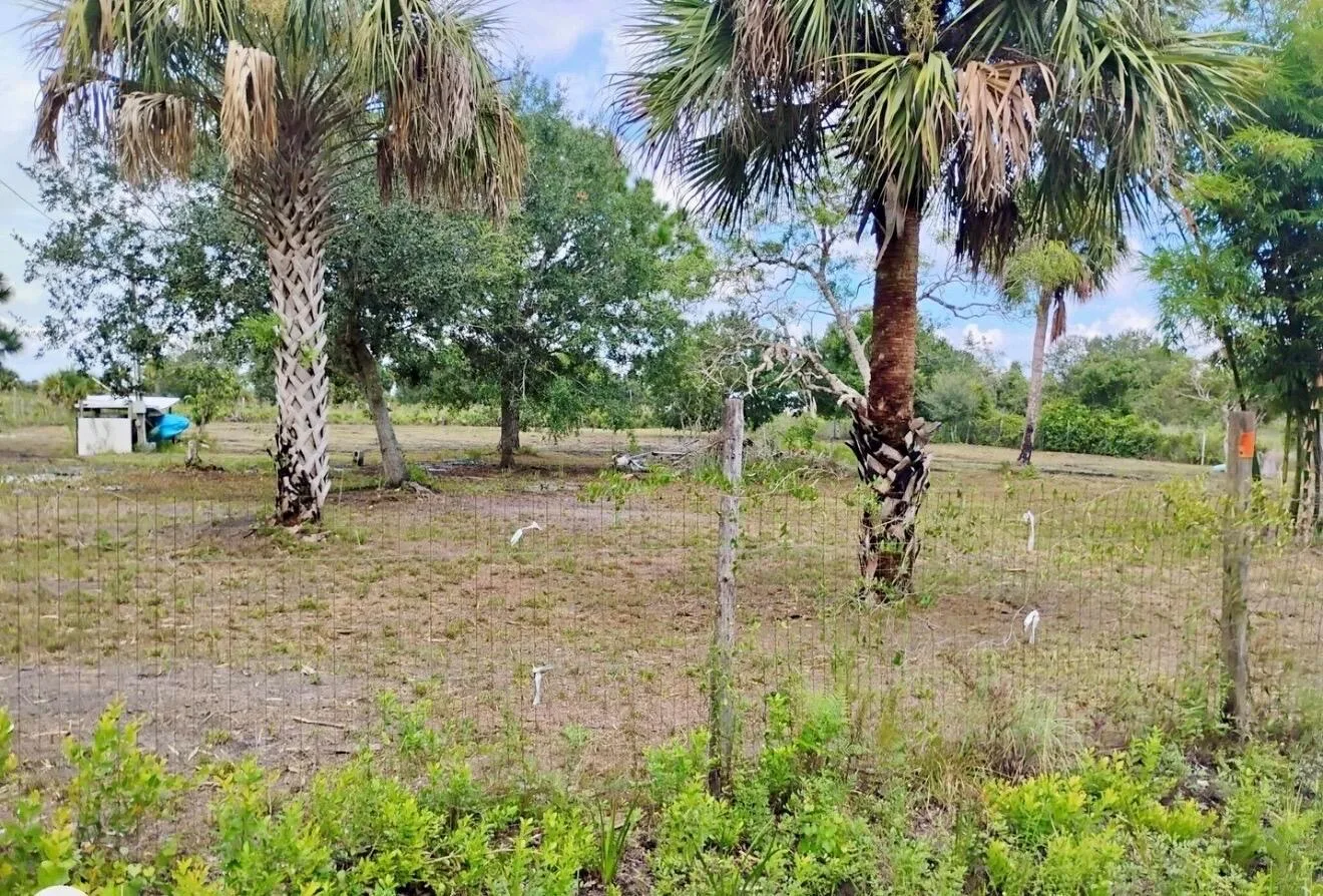 15313 NW 310TH Street N, Okeechobee, FL 34972 photo 3