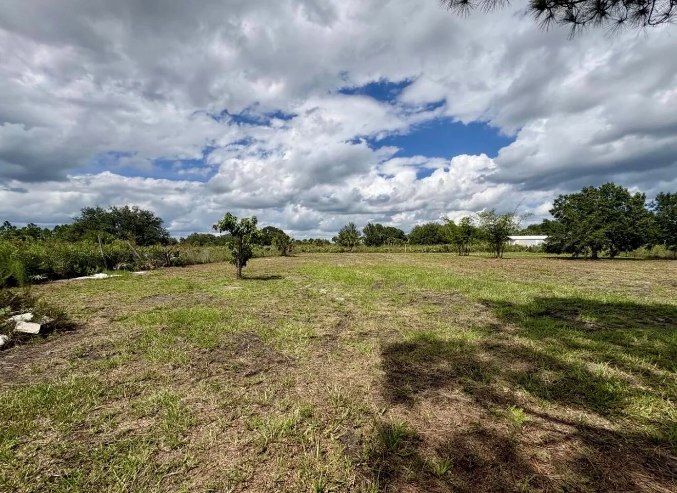 15313 NW 310TH Street N, Okeechobee, FL 34972 photo 5