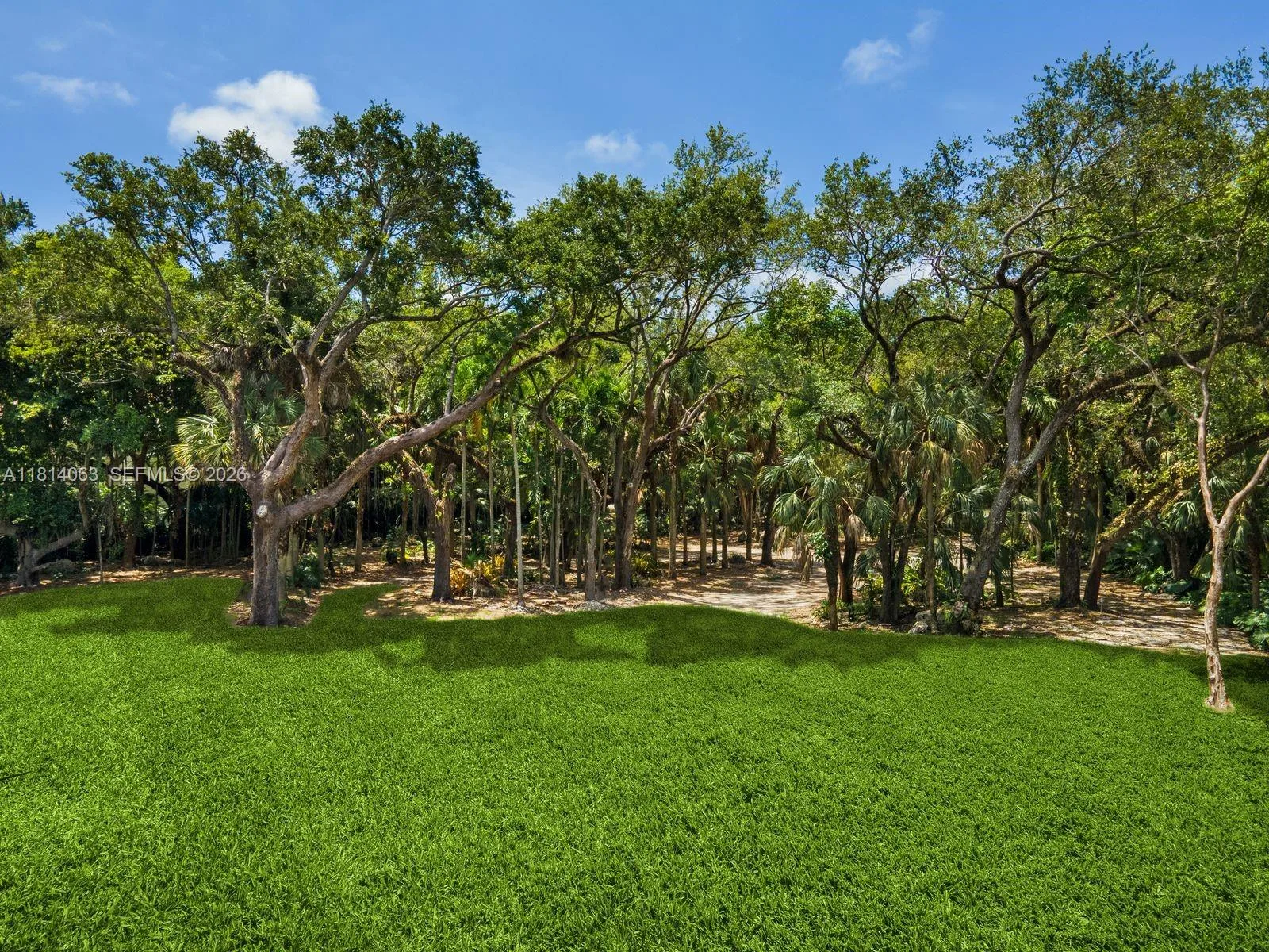 5355 Hammock Dr, Coral Gables, FL 33156 photo 6