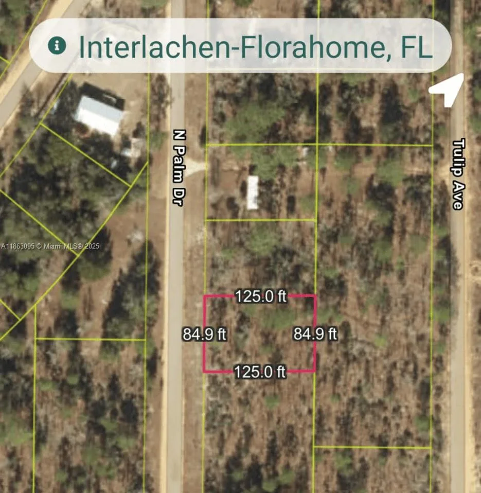 108 N Palm Dr, Other City - In The State Of Florida, FL 32148 photo 3