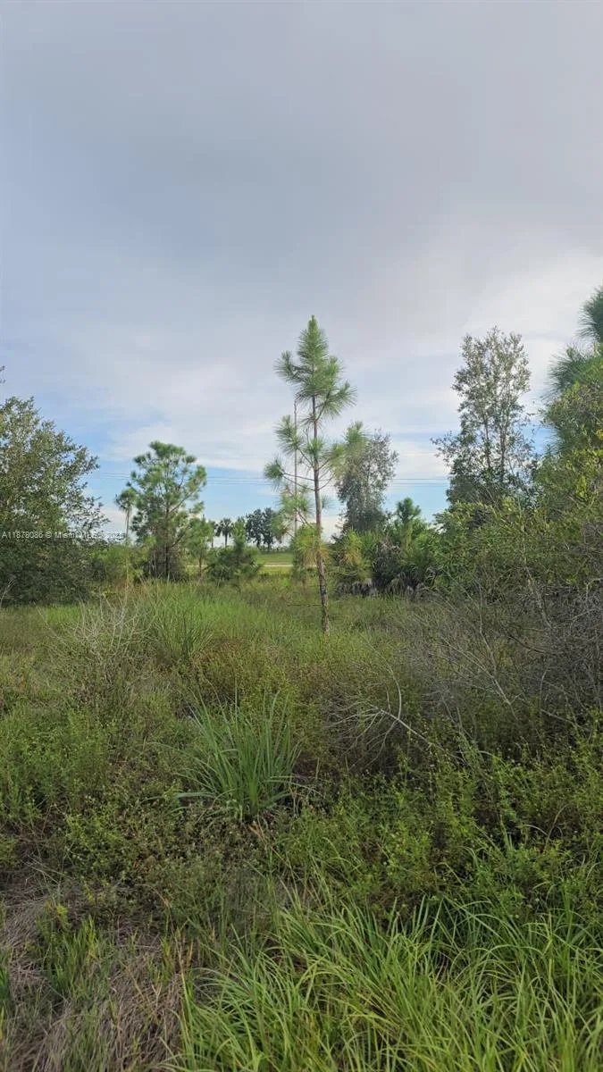 2918 Meadow, Lehigh Acres, FL 33974 photo 4