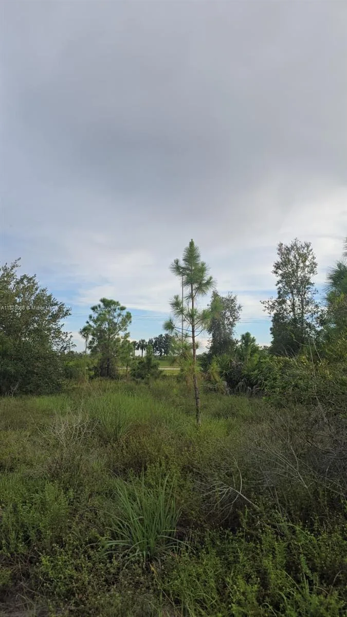 2918 Meadow, Lehigh Acres, FL 33974 photo 5