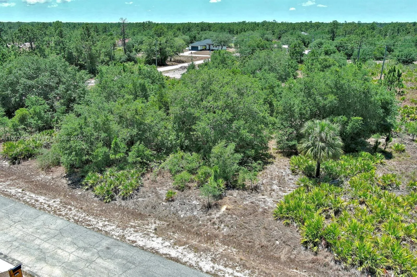 603 FITCH AVE, Lehigh Acres, FL 33972 — zdjęcie 3
