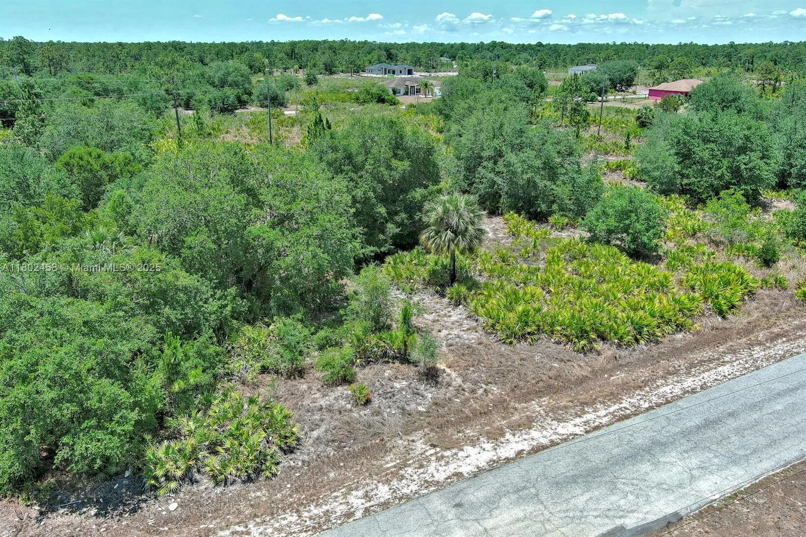 603 FITCH AVE, Lehigh Acres, FL 33972 — zdjęcie 4