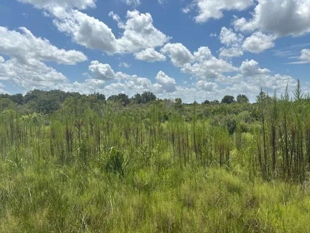 0 NW 314th Street, Okeechobee, FL 34972