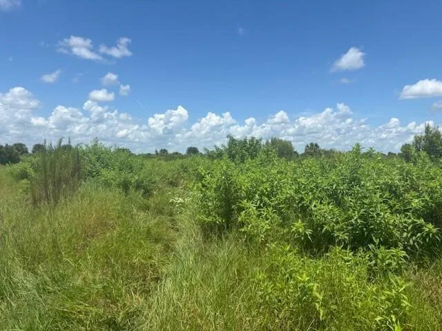 0 NW 318th Street, Okeechobee, FL 34972
